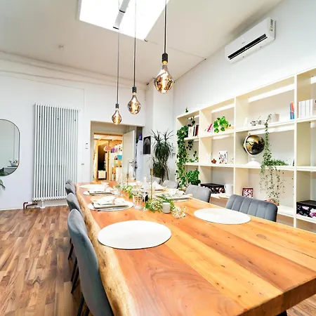 Loft House 170qm, Central, Own Garden, Parking Lot Semesterbostad Offenbach am Main
