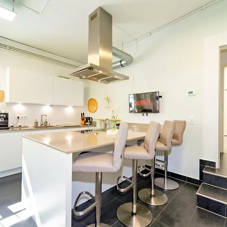 Loft House 170qm, Central, Own Garden, Parking Lot Semesterbostad Offenbach am Main