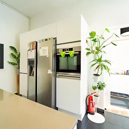 Loft House 170qm, Central, Own Garden, Parking Lot Semesterbostad Offenbach am Main