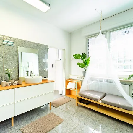 Loft House 170qm, Central, Own Garden, Parking Lot Semesterbostad Offenbach am Main