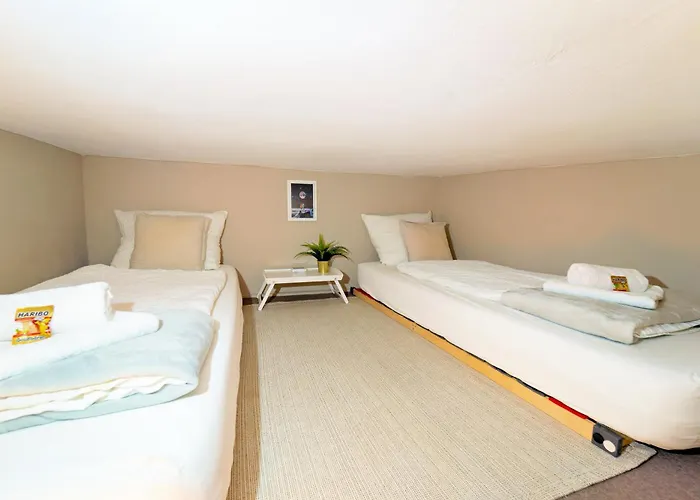 Loft House 170qm, Central, Own Garden, Parking Lot *